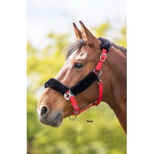 Shires Fleece Lined Headcollar