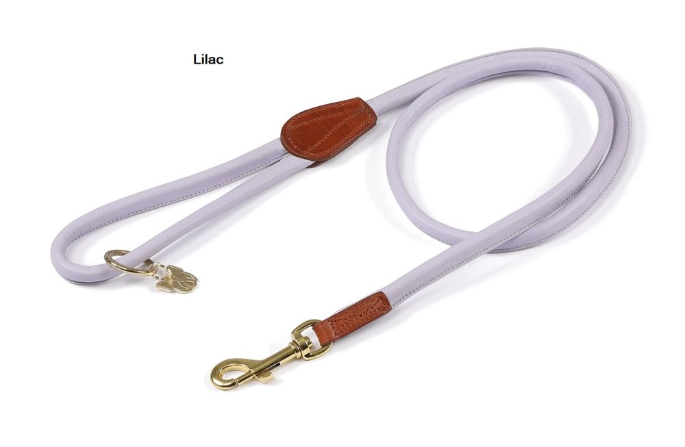 Shires Digby & Fox Rolled Leather Dog Lead