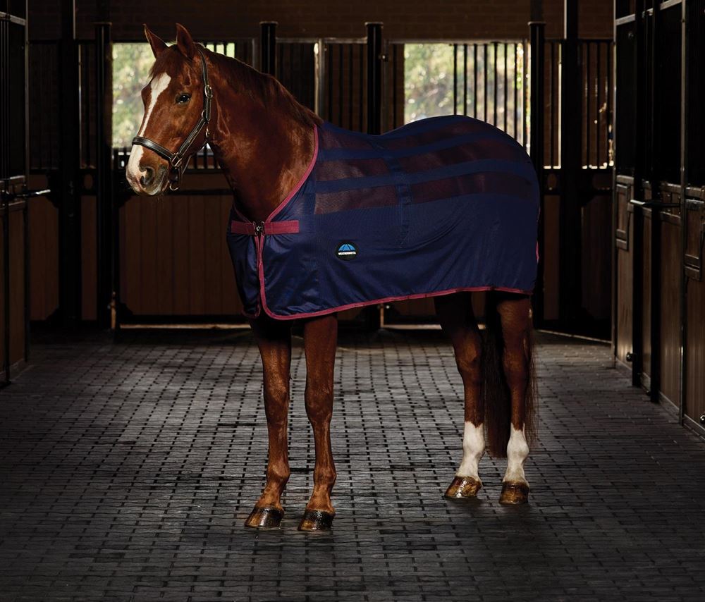 Weatherbeeta Scrim Cooler Standard Neck (NavyBurgundy)