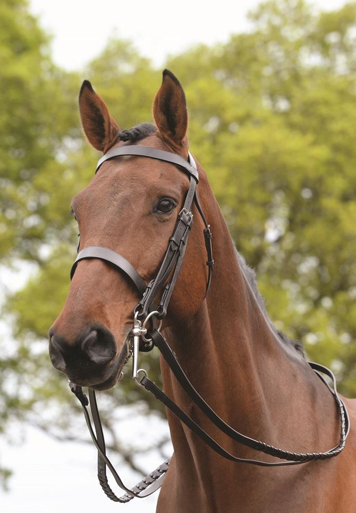 New Kincade Double/ Show Weymouth Bridle with Reins