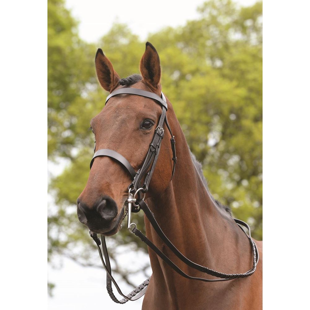 New Kincade Double/ Show Weymouth Bridle with Reins