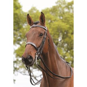 New Kincade Double/ Show Weymouth Bridle with Reins