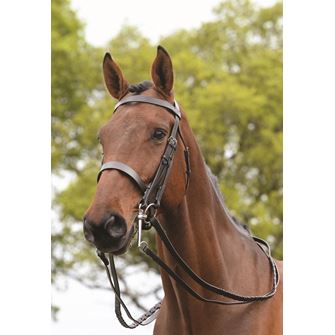 Kincade Double/Show Weymouth Bridle with Reins