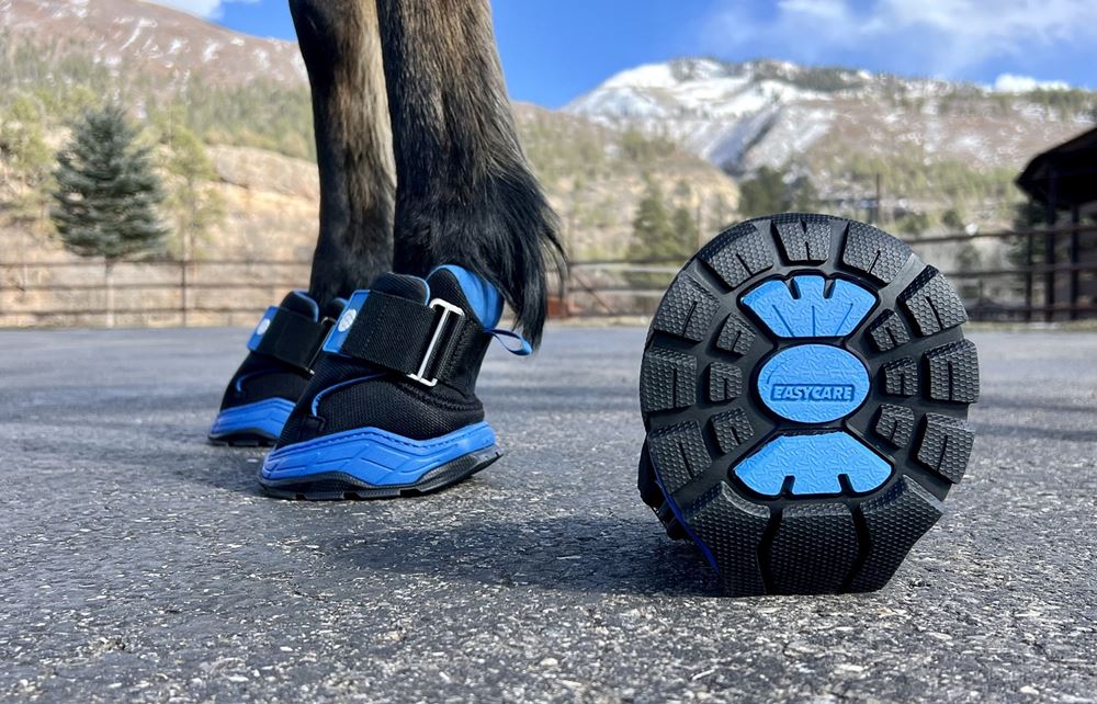Easyboot RX Hoof Therapy Boot (Sizes 00-3)