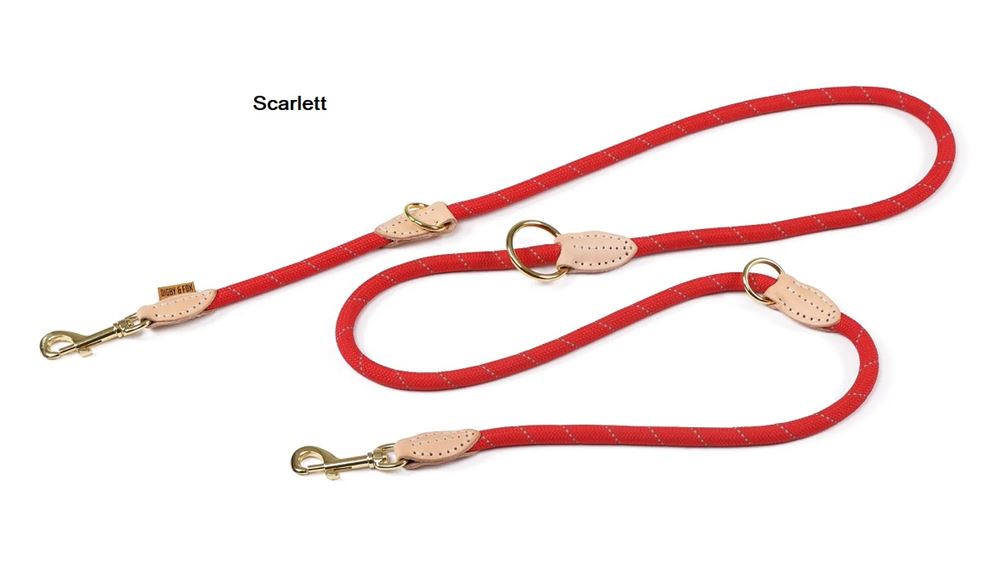 Shires Digby & Fox Reflective Training Dog Lead (Scarlett)
