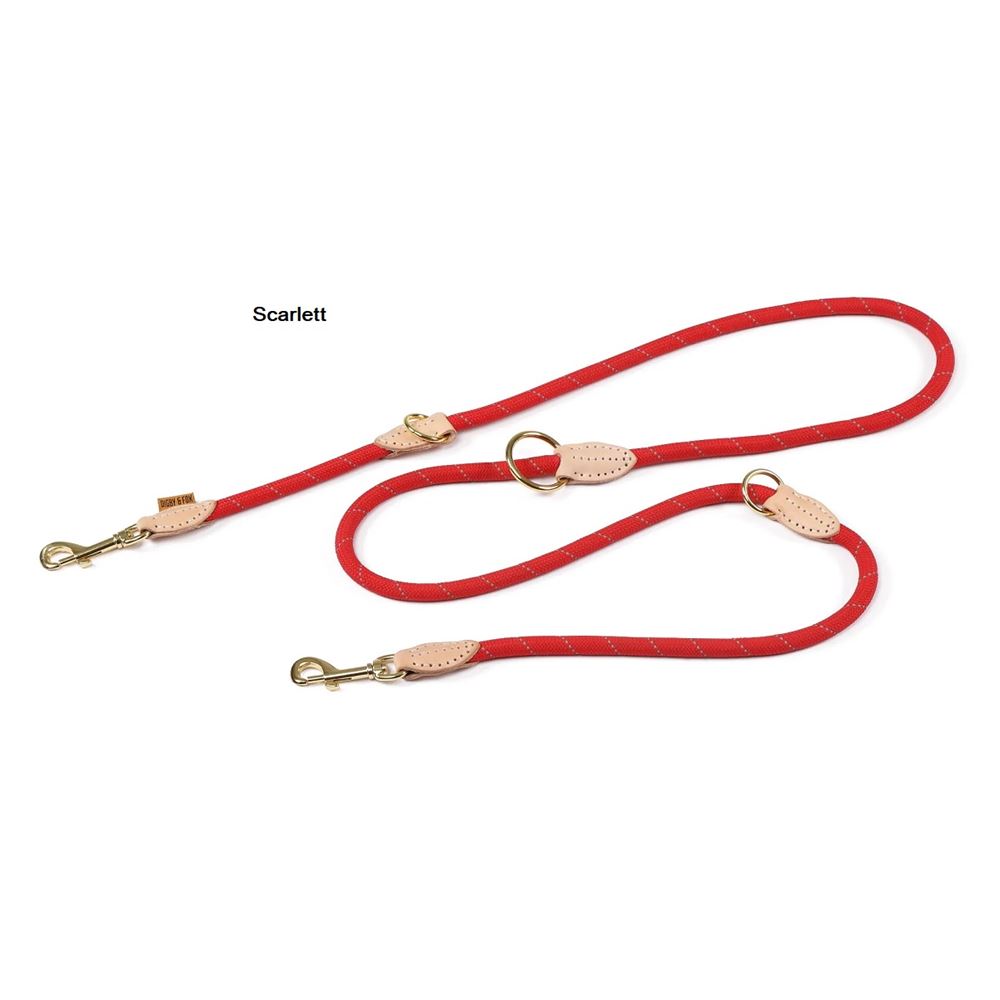 Shires Digby & Fox Reflective Training Dog Lead (Scarlett)