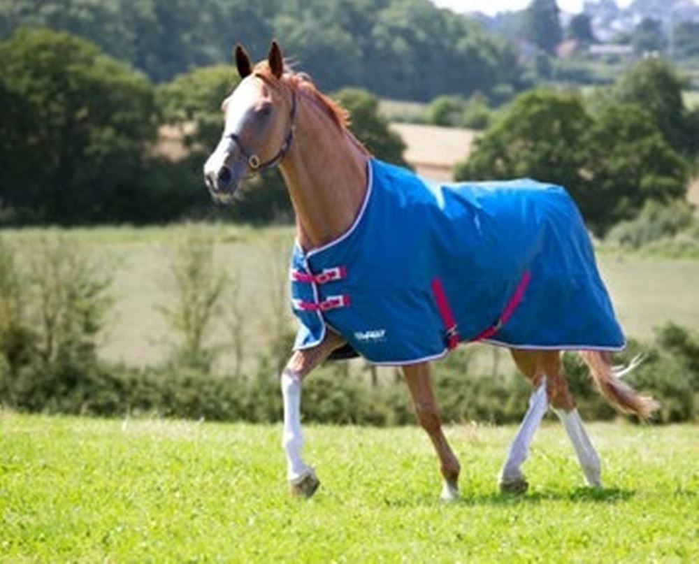 Shires Tempest Original Stable Sheet  (Teal)