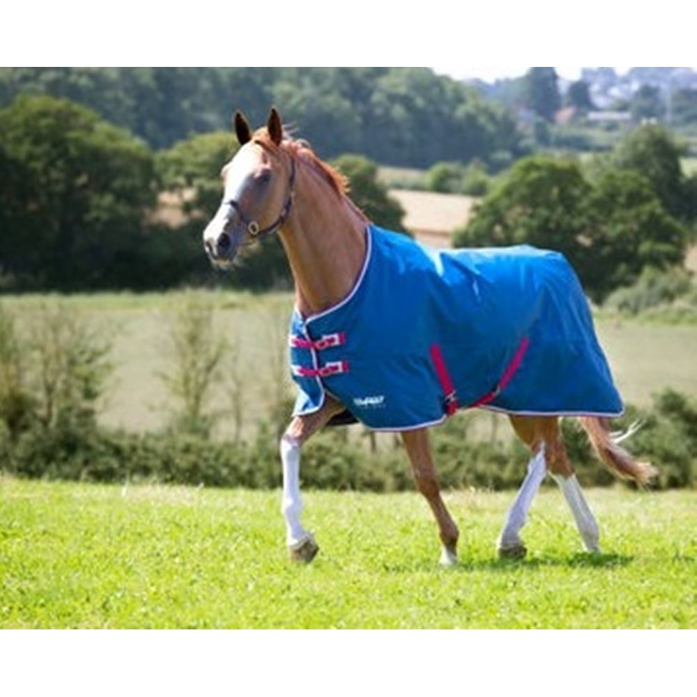 Shires Tempest Original Stable Sheet  (Teal)