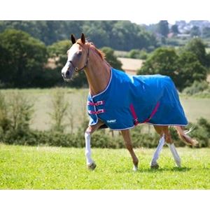 Shires Tempest Original Stable Sheet  (Teal)