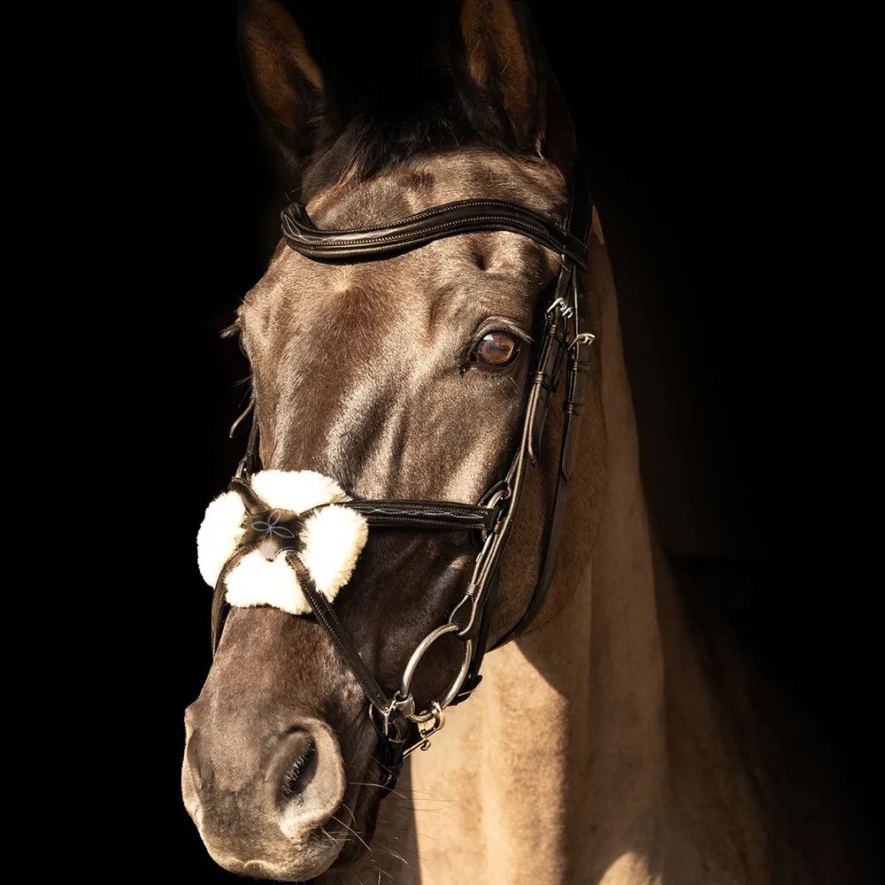 ProPresicce Pelle Grackle Leather Bridle by Hy Equestrian (Brown/ Silver Hardware)