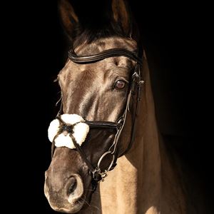 ProPresicce Pelle Grackle Leather Bridle by Hy Equestrian (Brown/ Silver Hardware)