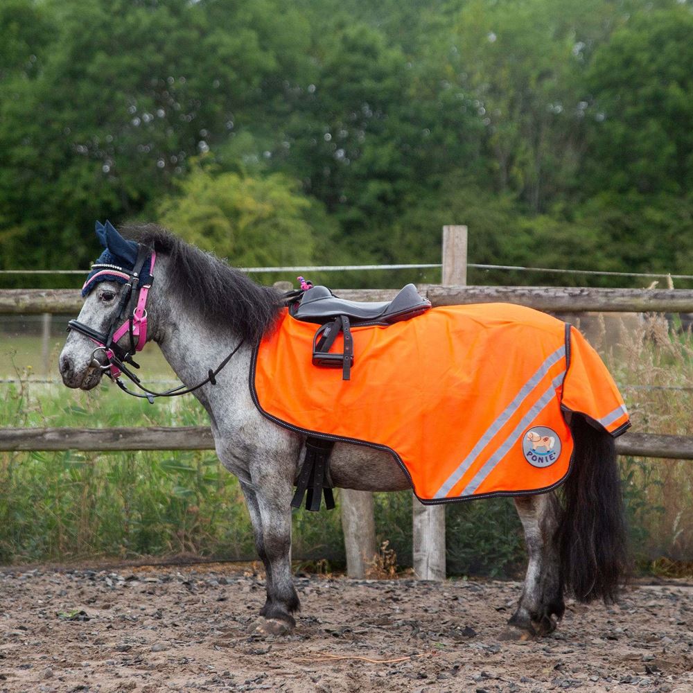 Ponie Retro Reflective Mesh Exercise Sheet