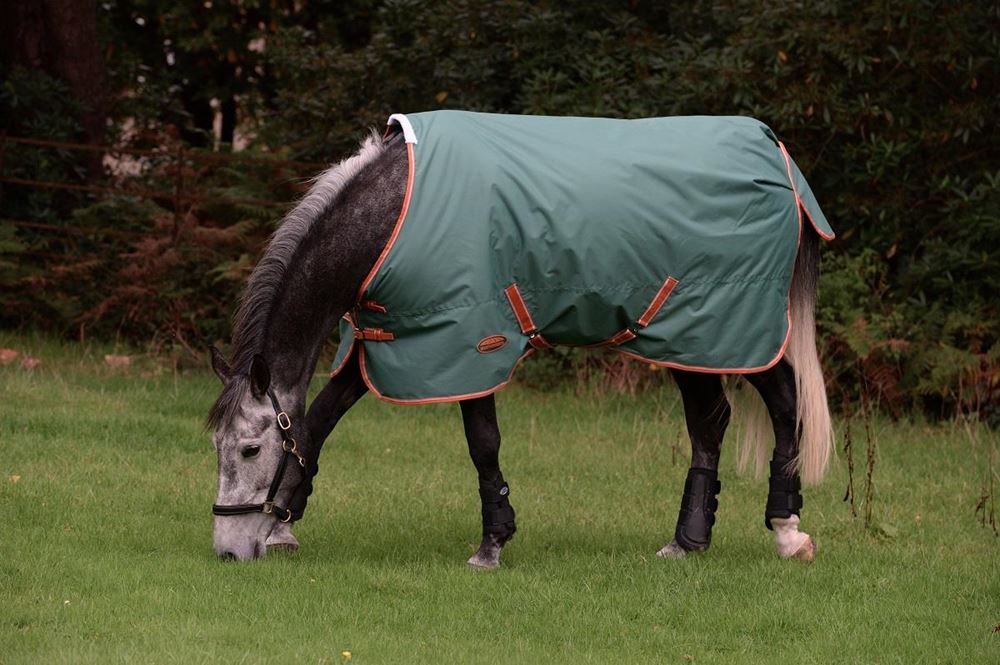 WeatherBeeta ComFiTec Tyro Standard Neck Medium Turnout Rug (Green/Burnt Orange/White)