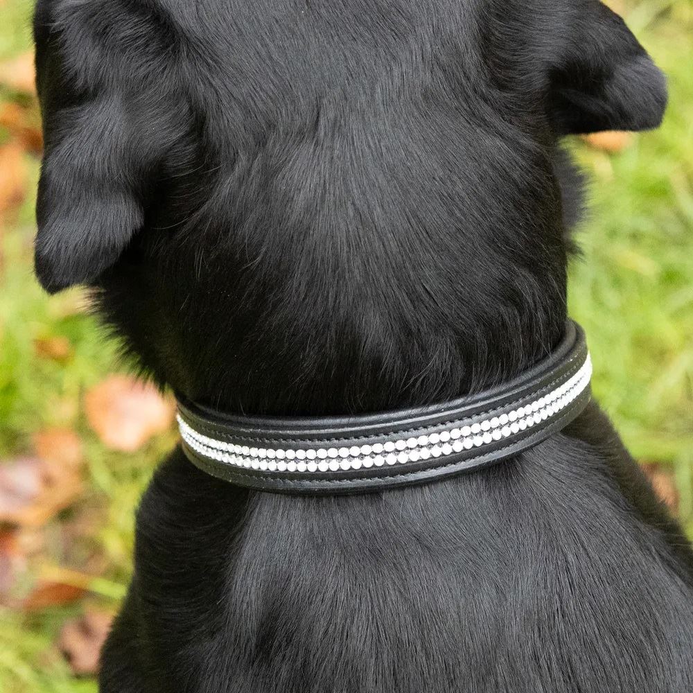 Benji & Flo Dazzling Diamante Dog Collar (Black)