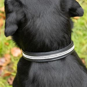 Benji & Flo Dazzling Diamante Dog Collar (Black)