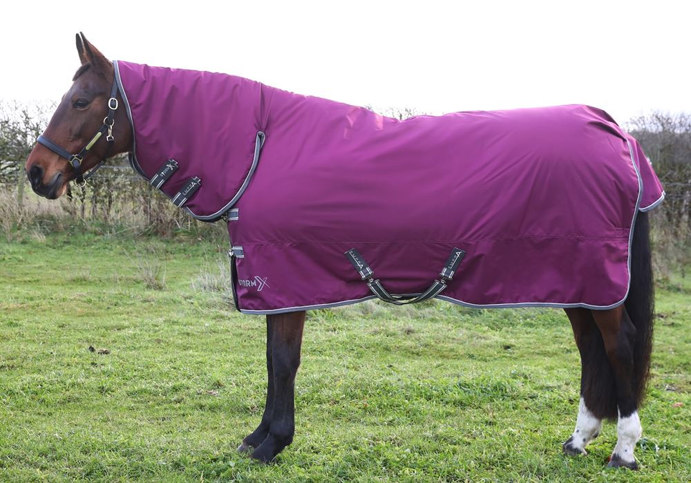 Hy Equestrian StormX Empra 200g Combi Turnout Rug (Purple)