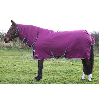 Hy Equestrian StormX Empra 200g Combi Turnout Rug (Purple)