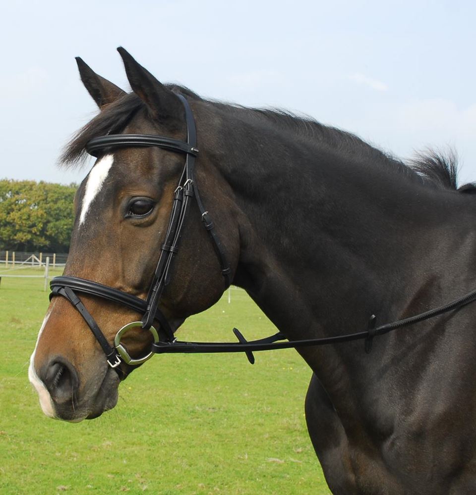 Heritage Saddlery English Leather Bridle with Flash Noseband