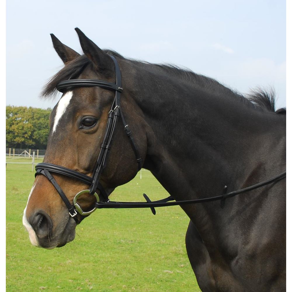 Heritage Saddlery English Leather Bridle with Flash Noseband