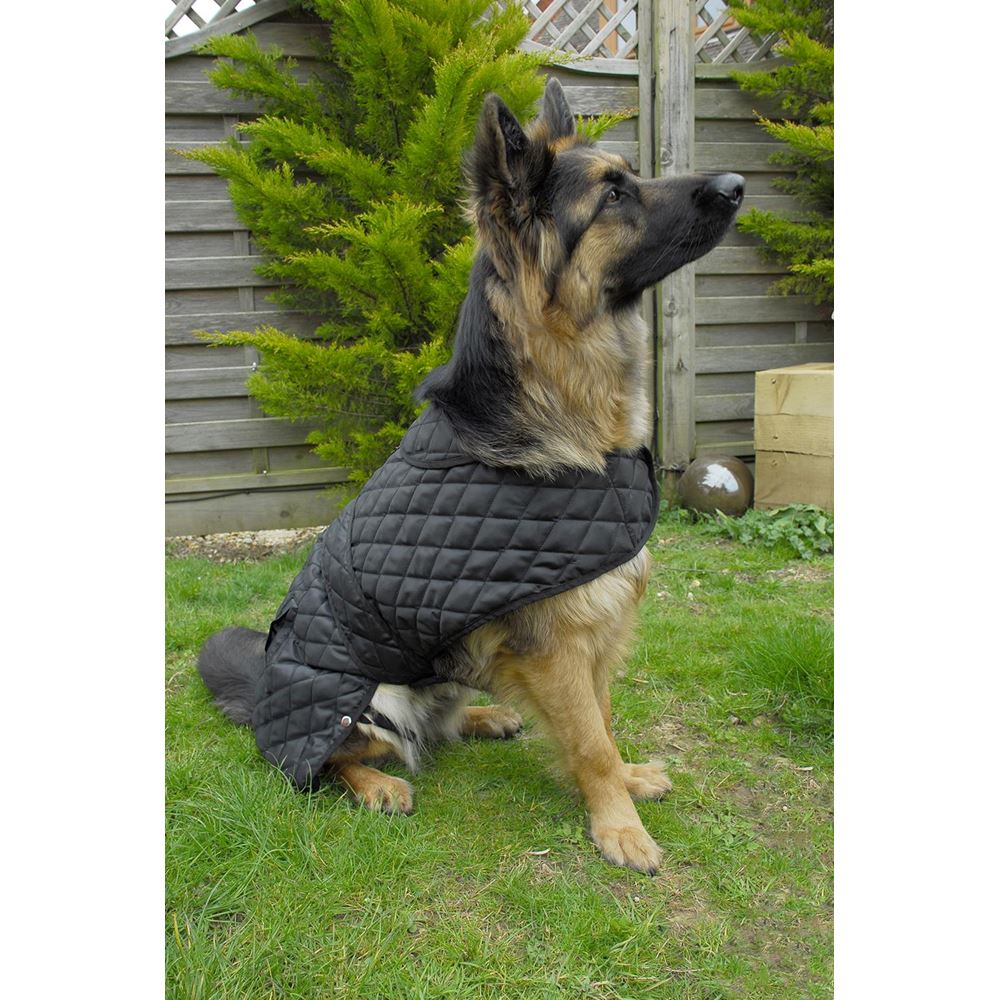 Rhinegold Balmoral Quilted Dog Coat (Black)
