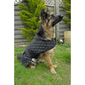 Rhinegold Balmoral Quilted Dog Coat (Black)