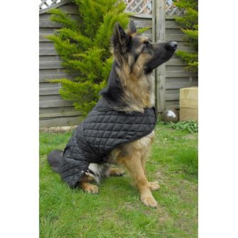 Rhinegold Balmoral Quilted Dog Coat (Black)