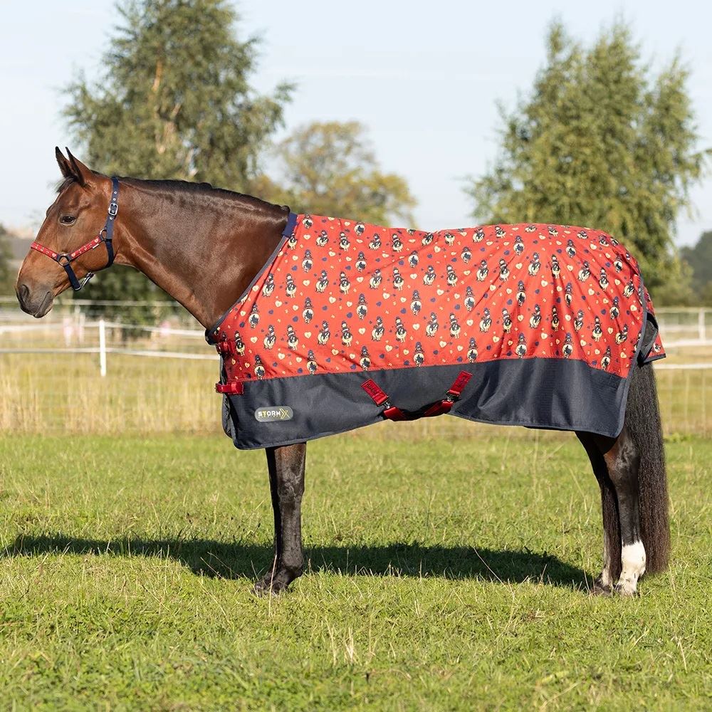 Hy Equestrian StormX Original 50 Turnout Rug - Thelwell Collection Balancing Act