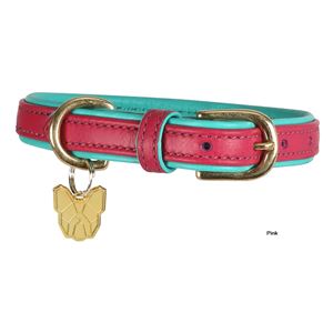 Shires Digby & Fox Padded Leather Dog Collar (XXXS - XXS)