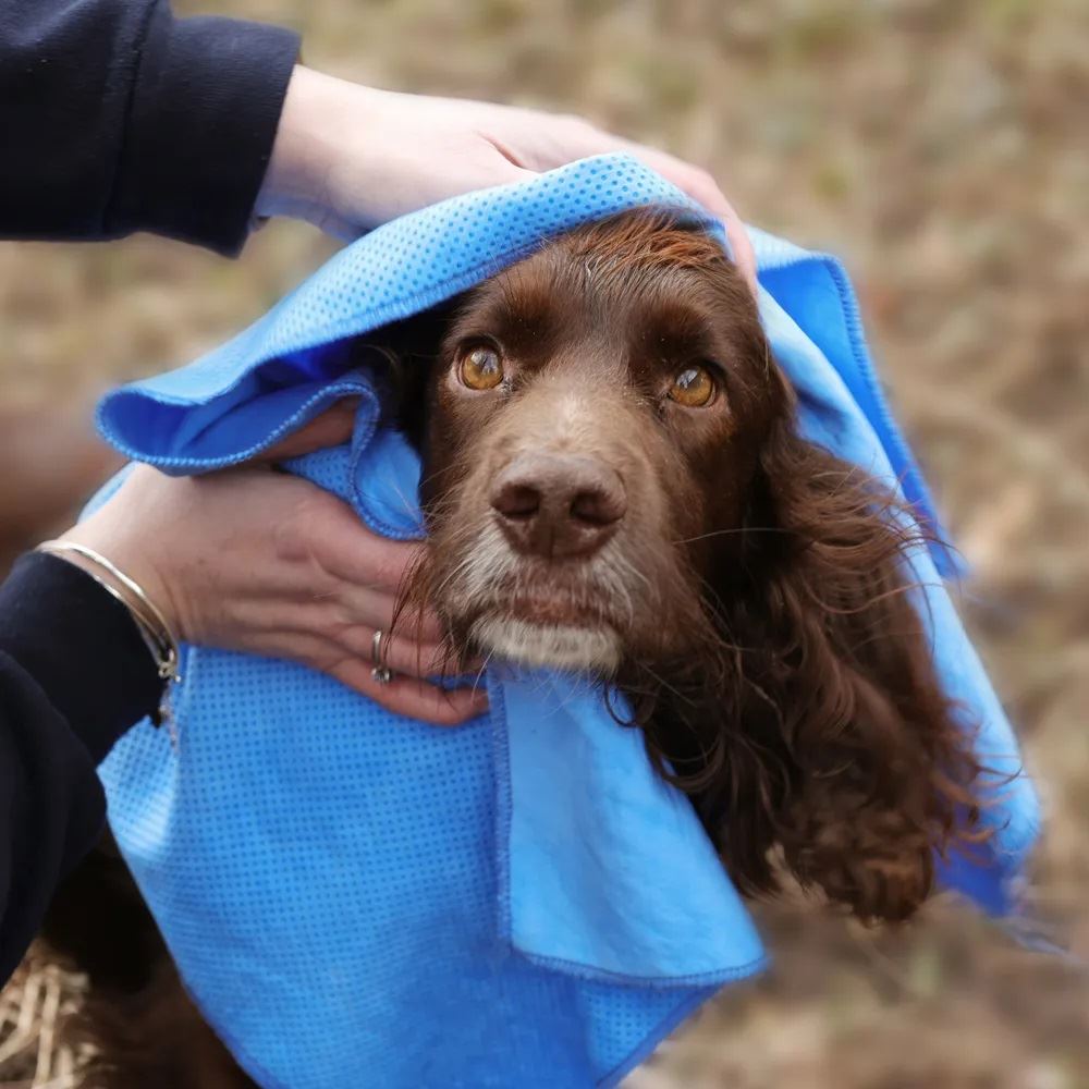 Benji & Flo Quick Dry Dog Towel