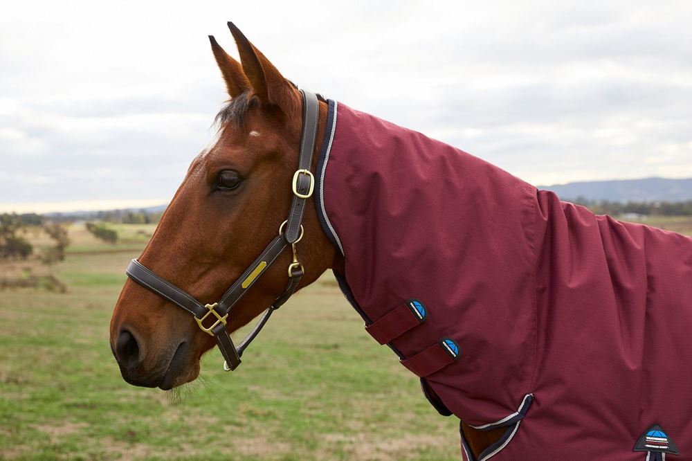 Weatherbeeta Comfitec Prelim Turnout Combo - 220g (Burgundy/Navy)