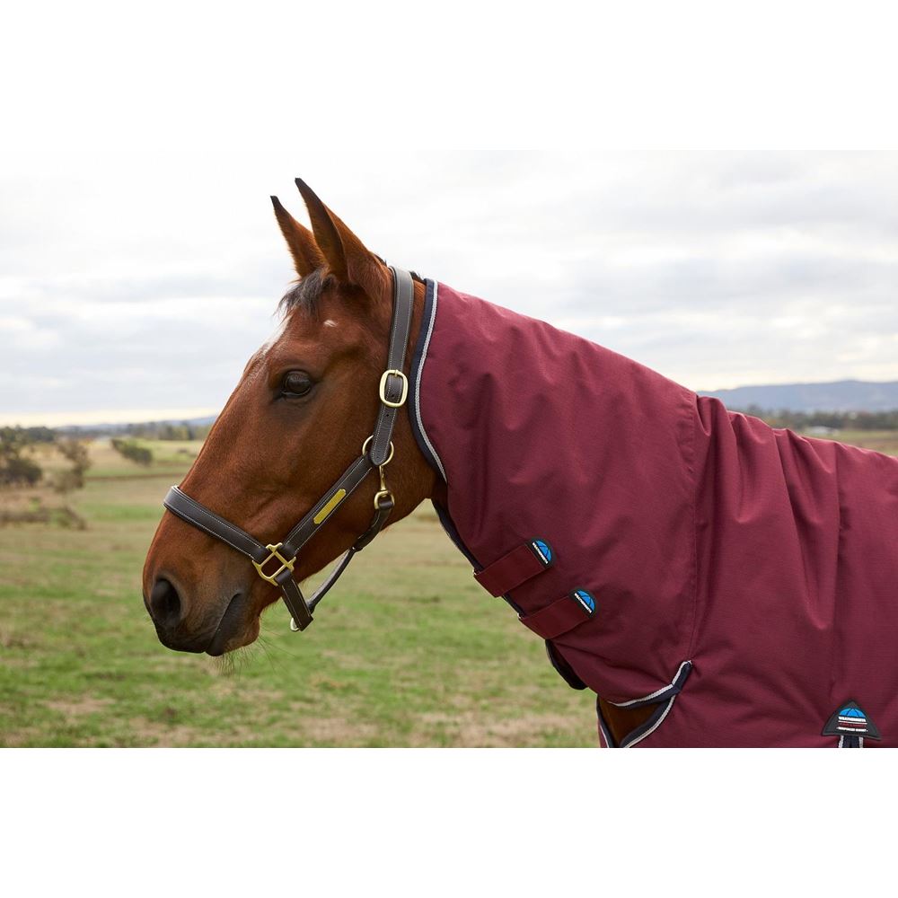 Weatherbeeta Comfitec Prelim Turnout Combo - 220g (Burgundy/Navy)