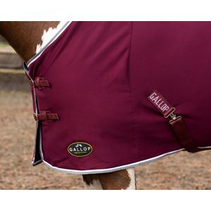 Gallop Jersey Cooler Rug (Burgundy)