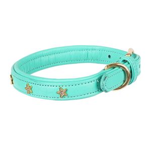 **barcodes** Digby & Fox Star Dog Collar - S, M (Teal)