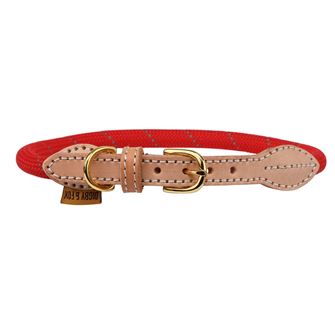 Shires Digby & Fox Reflective Dog Collar (Scarlett)