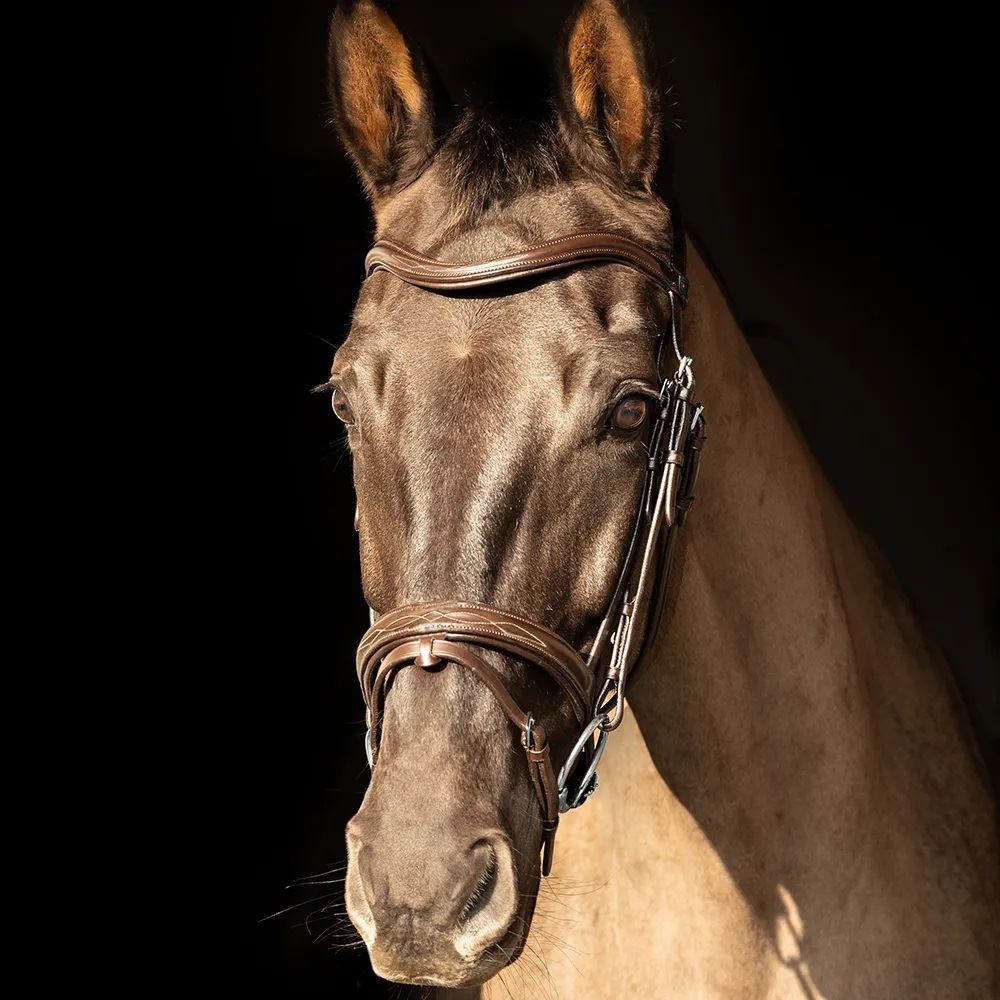 ProPresicce Pelle Raised Flash Leather Bridle by Hy Equestrian (Brown/ Silver Hardware)