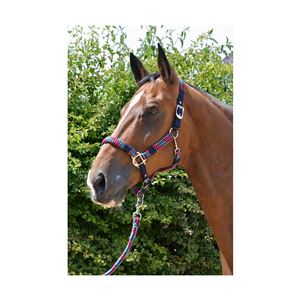 Hy Equestrian Multicolour Adjustable Head Collar with Rope (Navy)