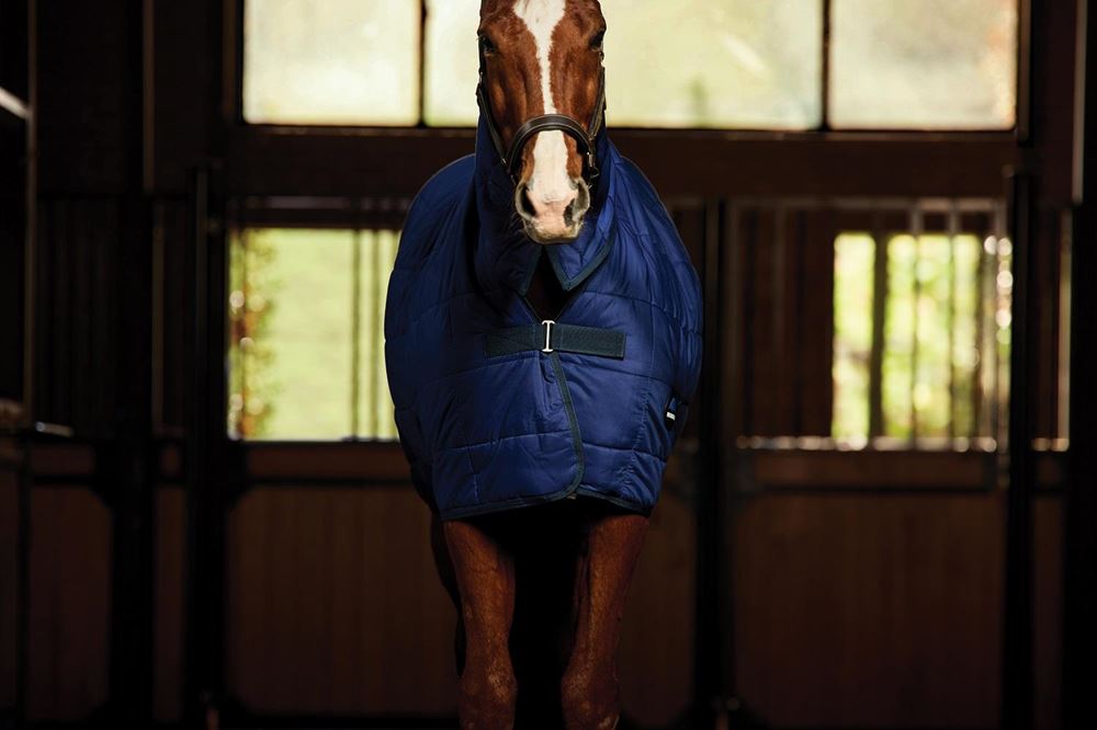 Weatherbeeta Comfitec Under Rug Combo - 220g (Navy)