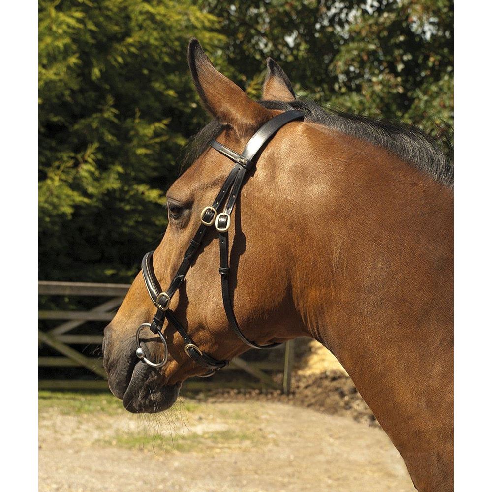 Heritage Saddlery English leather In-Hand Bridle