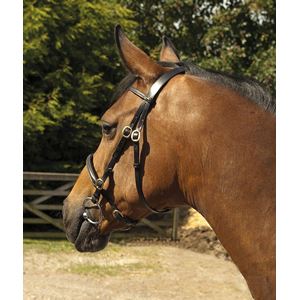 Heritage Saddlery English leather In-Hand Bridle