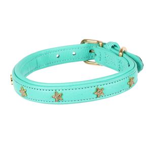 **barcodes** Digby & Fox Star Dog Collar - S, M (Teal)