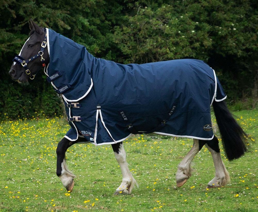 Gallop 600D TROJAN 100g Duraproof Combo Turnout (Navy with Beige/White bindings)
