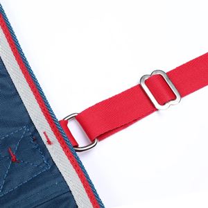 Shires Tempest Original Lite Turnout Rug (Teal)