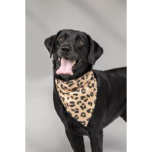 Shires Digby & Fox Bandana - Large (Tennis Ball)