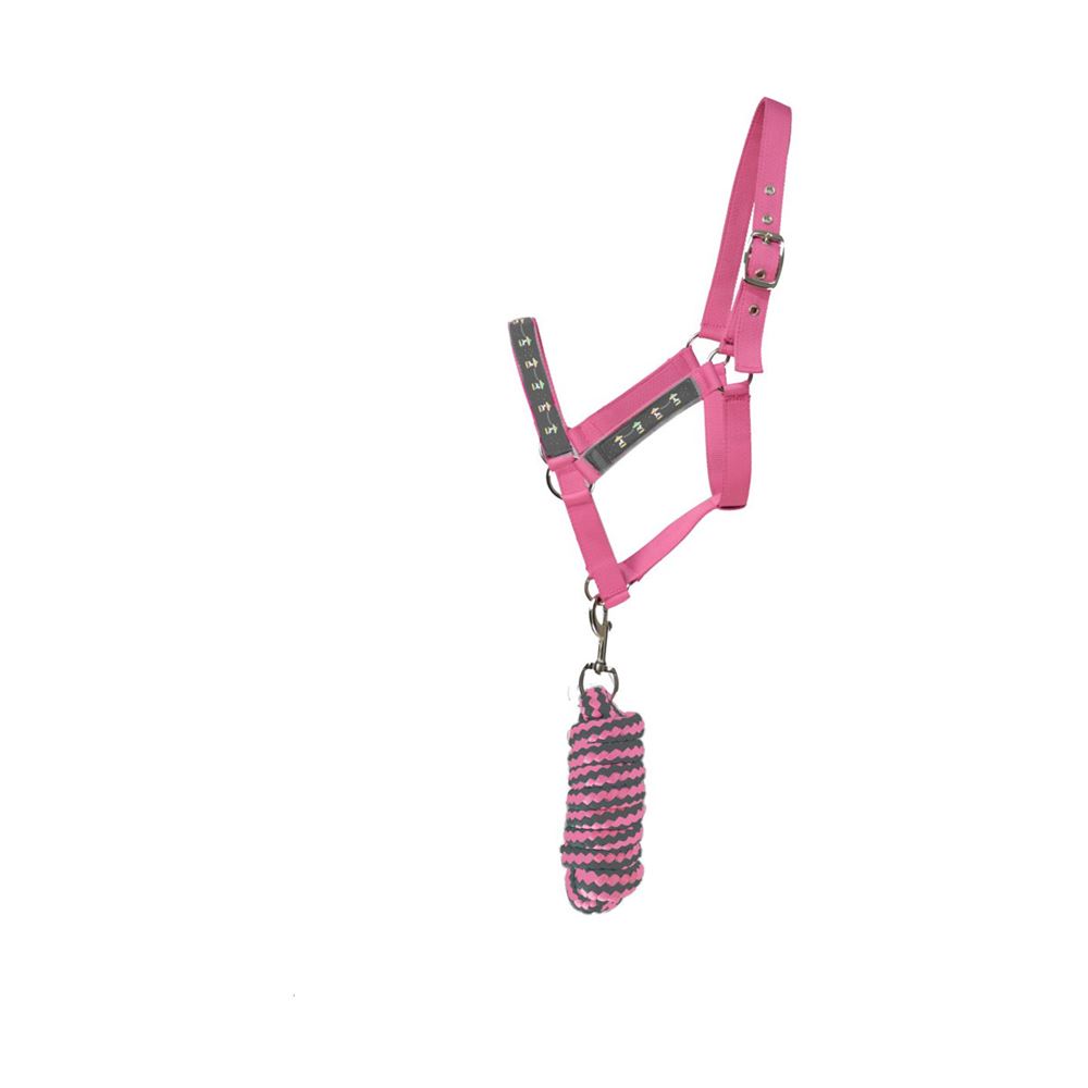 Hy Equestrian Merry Go Round Head Collar and Lead Rope (Grey/Pink)