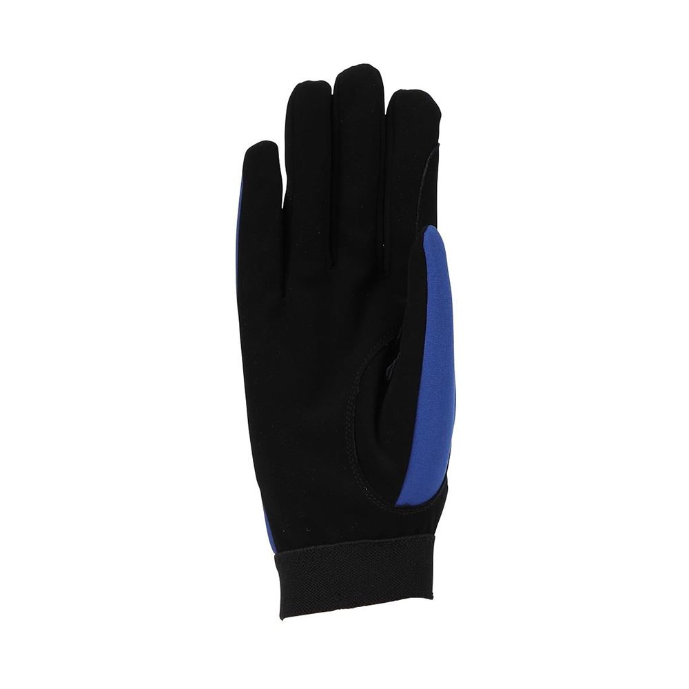 Shires Aubrion Team Winter Riding Gloves (Blue)