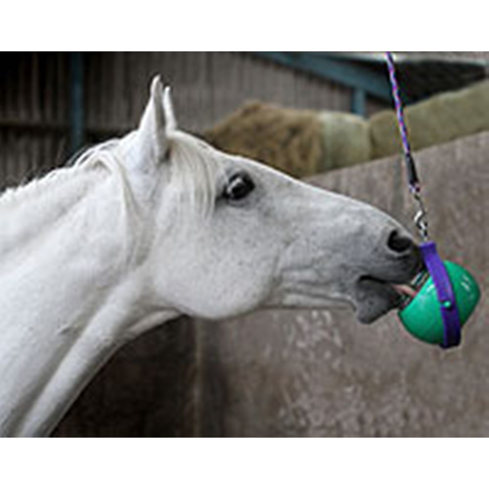 Likit Boredom Buster