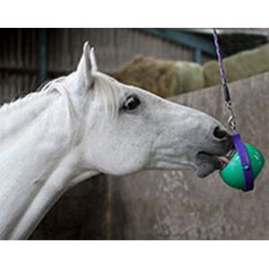 Likit Boredom Buster