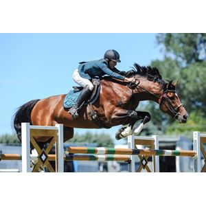 Scootboot Classic Hoof Boot (Regular and Slim) SINGLE BOOT