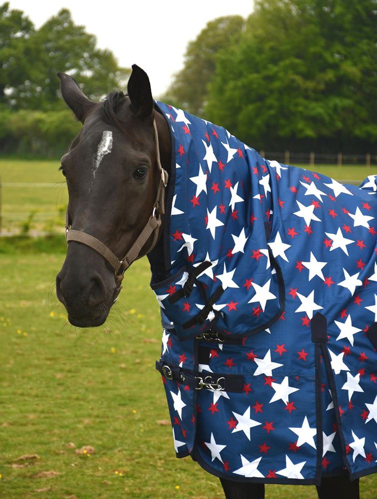 Rhinegold Star Torrent Full Neck Combo Outdoor Rug - 0g (Star Design)