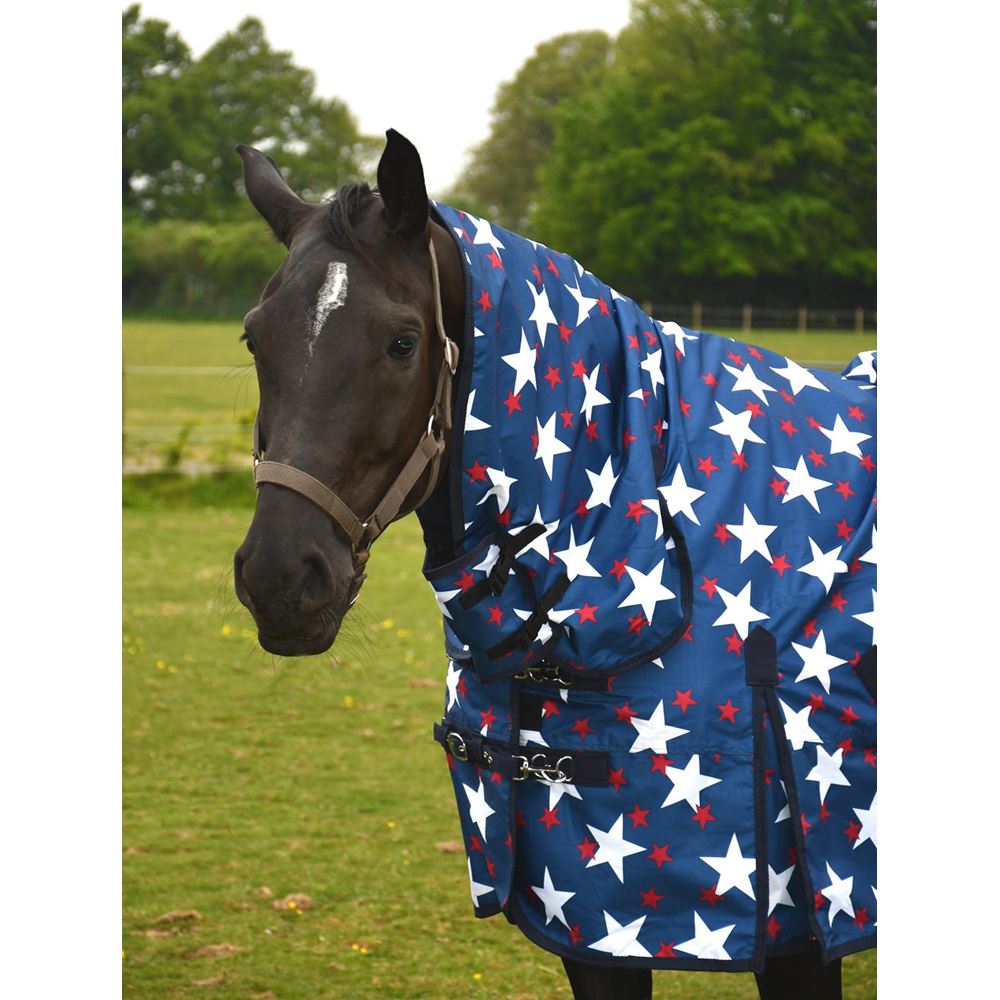Rhinegold Star Torrent Full Neck Combo Outdoor Rug - 0g (Star Design)